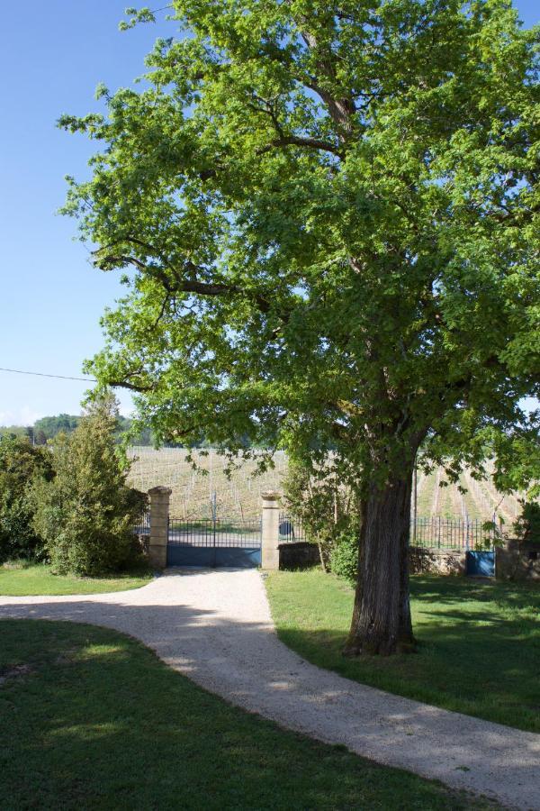Domaine Cazenave Budos